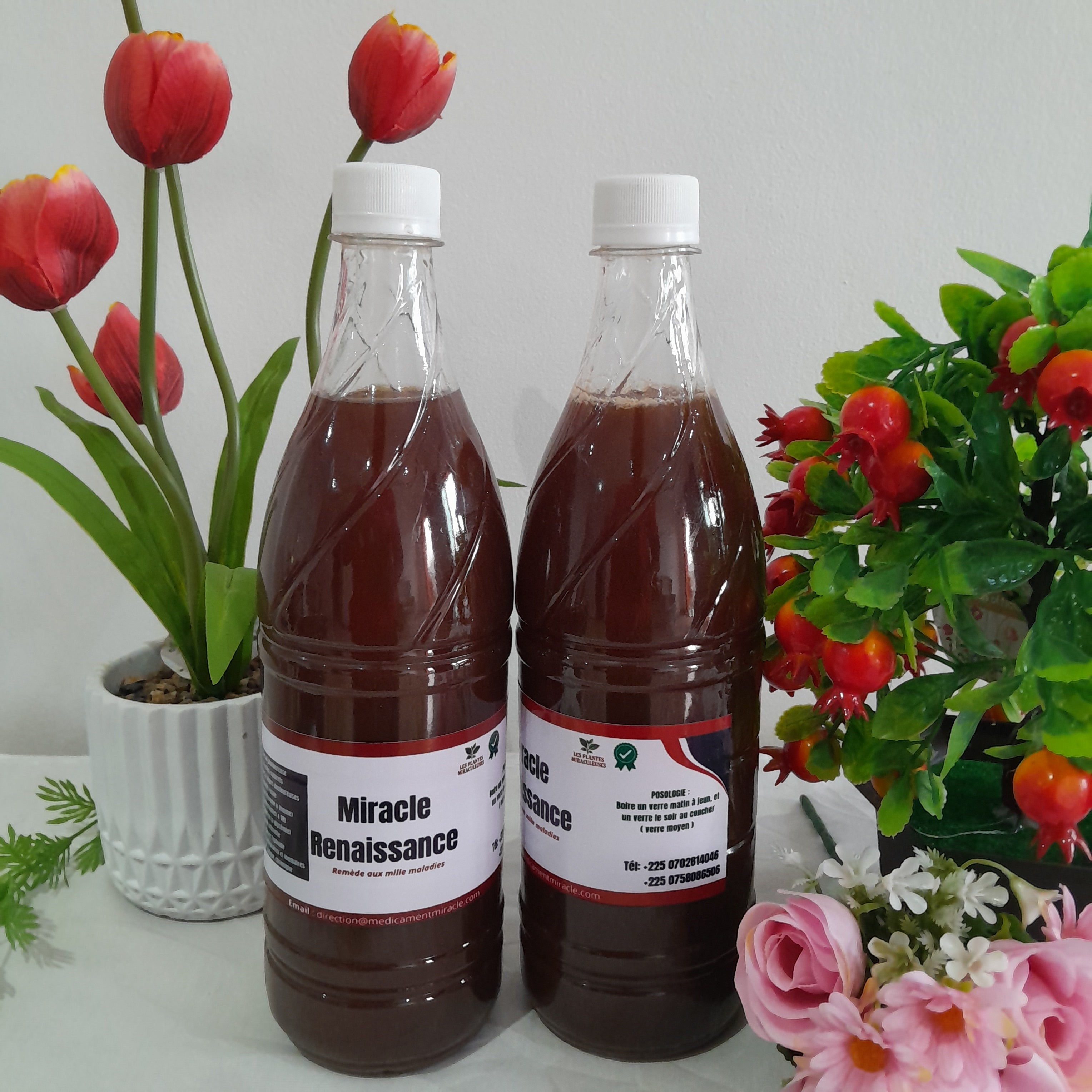 Médicament Miracle Renaissance